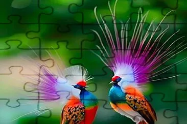Espejo jigsaw puzzle