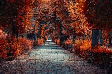 avenida jigsaw puzzle
