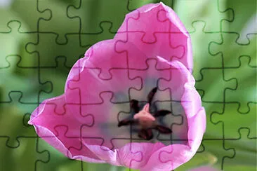 OK jigsaw puzzle