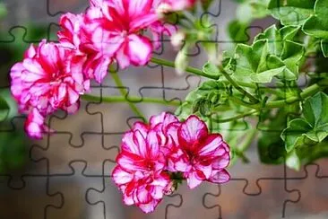 OK jigsaw puzzle