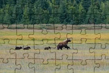 pop jigsaw puzzle