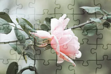OK jigsaw puzzle