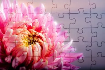  jigsaw puzzle