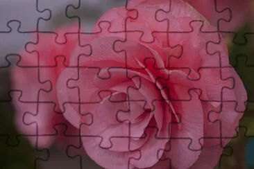 OK jigsaw puzzle
