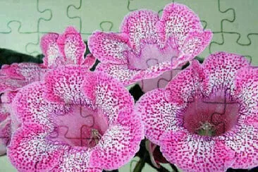 OK jigsaw puzzle