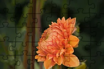 OK jigsaw puzzle