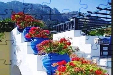 פאזל של Flores
