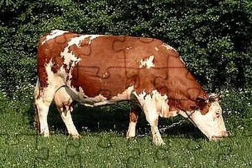 La vache laitière jigsaw puzzle