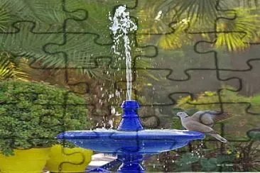 jardïn jigsaw puzzle