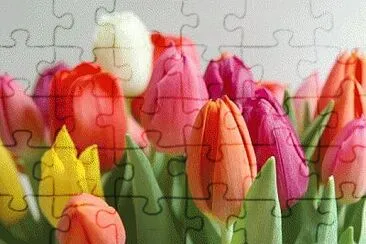 Toy jigsaw puzzle