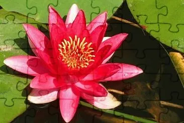 Toy jigsaw puzzle