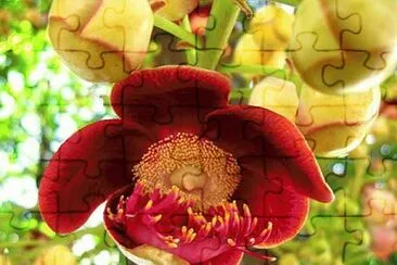 Toy jigsaw puzzle