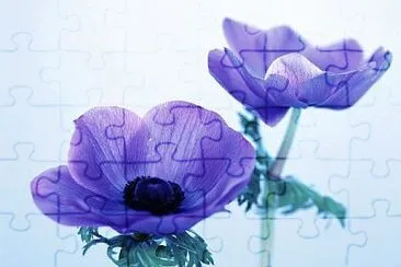 Toy jigsaw puzzle
