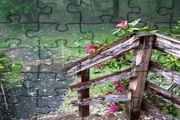 lluvia jigsaw puzzle