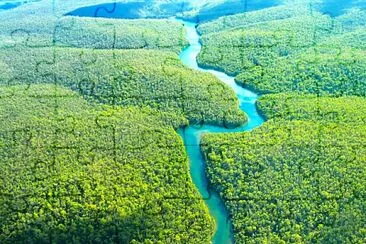 Quebra-cabeça Amazônia jigsaw puzzle
