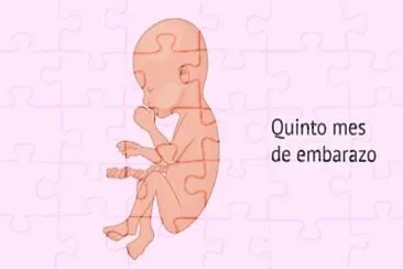 bbb