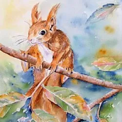 Ecureuil aquarelle