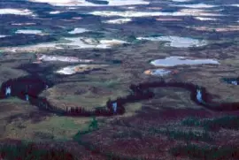 Убежище Канути опожарена зона и влажни зони