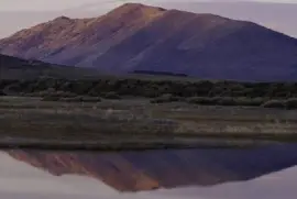 Национален резерват за диви животни Долна Кламат, Калифорния