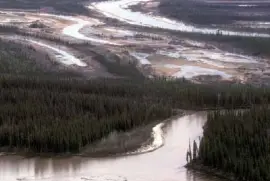 Rio Sheenjek inferior