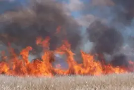 Marsh burn en Tule Lake National Wildlife Refuge 2005.