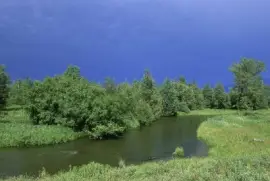 Refugiar habitat ribeirinho