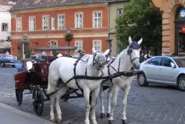 Trasporto a Budapest
