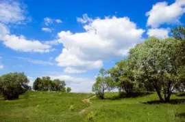 Estrada rural no verão