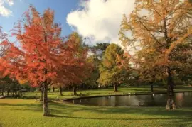 פאזל של נוף מרגיע