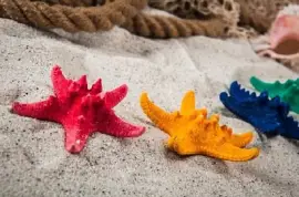 Sunny Tropical Beach jigsaw puzzle