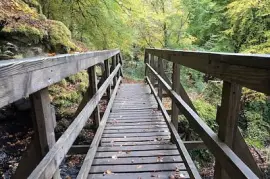Wood Bridge
