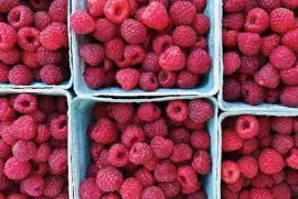 Raspberries jigsaw puzzle