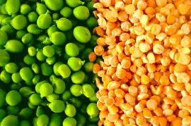 Orange & green peas legume jigsaw puzzle