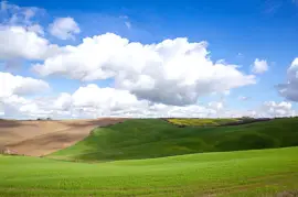 Grüne Hügel der Toskana im zeitigen Frühjahr