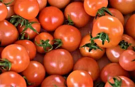 Pomidory Ktoś?