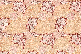 פאזל של דפוס אפל (1877)