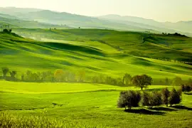 Wieś, San Quirico Orcia, Toskania, Włochy