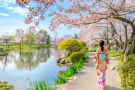 Japansk körsbärsblomningsträdgård