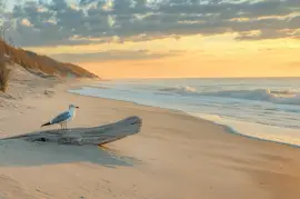 פאזל של בוקר רגוע בחוף הים