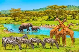 פאזל של בַּעֲלֵי חַיִים