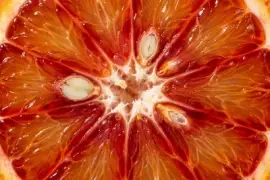 Citrusskiva bakgrundsbelyst glöd