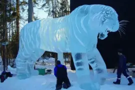 TIGRE DE HIELO