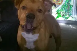 My Bestist Friend jigsaw puzzle