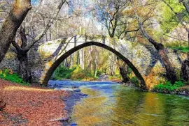 Vieux Pont dans la forêt