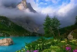 פאזל של imagem