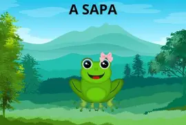 A sapa