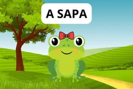 A SAPA