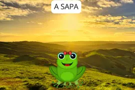 A SAPA