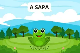 a sapa