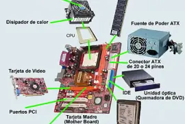Partes internas del PC